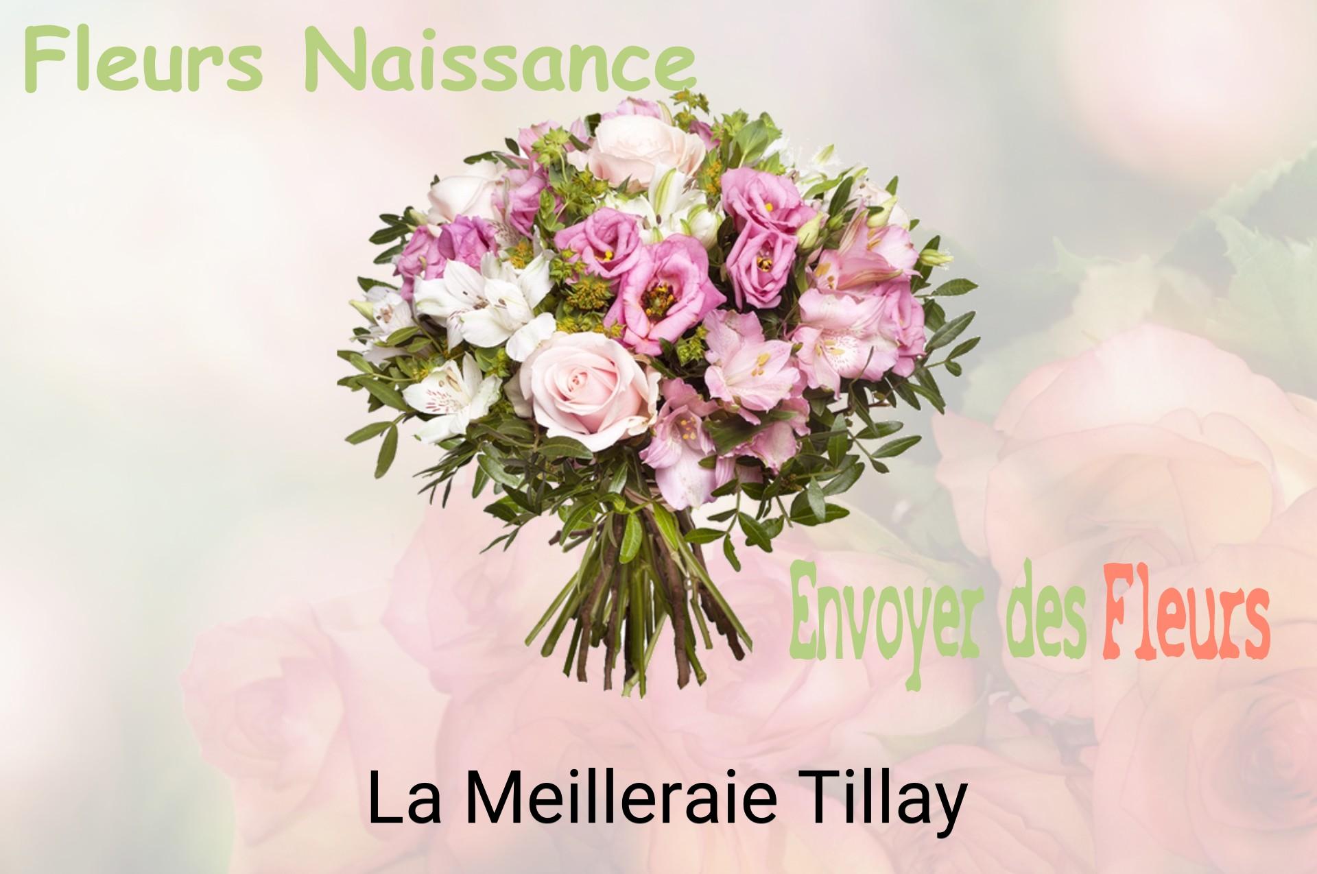Bouquet de fleurs de naissance livré à La Meilleraie-Tillay